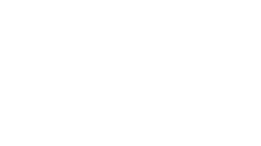 PAPILLON HOTELS